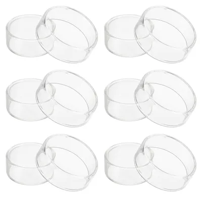 Petrischalen Borosilikatglas 35 mm, 6 Stück, mit Deckel, transparent