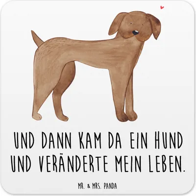 Produktbild von Mr. & Mrs. Panda Tischuntersetzer Hund Dogge 15er Set - Weiß - Geschenk, Getränke-Untersetzer, coaster, Herz, Hunde, Untersetzer für Gläser, Sprüche, Flaschenuntersetzer