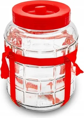 Obrázek produktu pro Dóza sklenice nakládací 5L s popruhem FERMENT