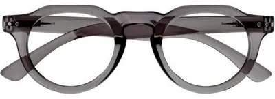 Produktbild von Lesebrille Blaufilter mit Federscharnieren - Leichtes Gestell - +2.00