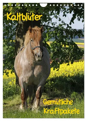 Produktbild von Kaltblüter (Wandkalender 2027 DIN A4 hoch), CALVENDO Monatskalender
