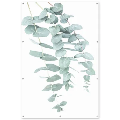 Obrázok produktu pre MuchoWow® Vonkajší plagát - Záhradná dekorácia ochrana súkromia - Záhradné plagáty pre záhradu - Rastliny - Zelená - Príroda - Biela - Listy - 180x120x0.2cm