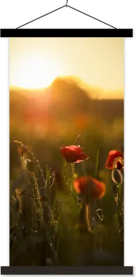 Produktbild von MuchoWow® Textilposter Mohn - Sonnenuntergang - Gold 90x180 cm mit schwarzem Rahmen - Dekoration Wohnzimmer