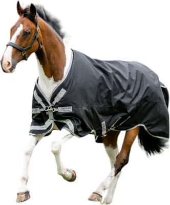 Produktbild von Horseware Ireland Weidedecke Amigo 100g 1200D Turnout Decke Black/Titanium Grey & Silver 145 cm
