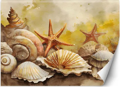 Produktbild von Vlies fototapete Muscheln und Seesterne gemalt 250x175 cm Feeby Beige inkl. Kleber einfache Montage