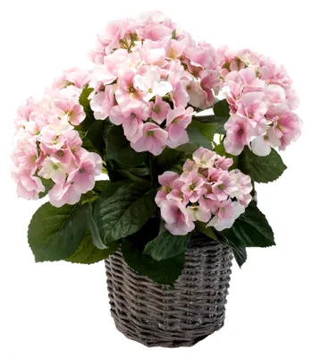 Produktbild von Kunstpflanze Hortensie rosa 45 cm