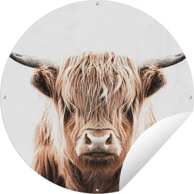 Produktbild von MuchoWow® Gartenposter Outdoor-Poster Rund Tiere - Schottischer Highlander - Kuh Ø 150 cm Gartendeko Rundes Poster draußen