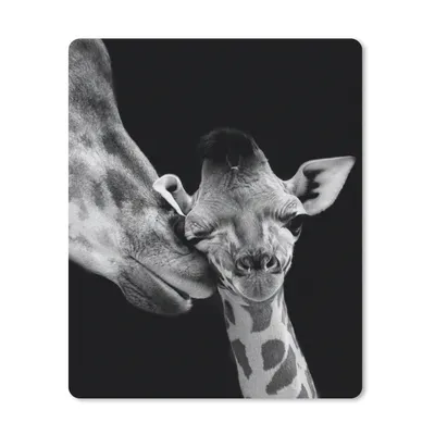 Produktbild von MuchoWow® Mauspad Mousepad Tiere - Schwarz - Weiß - Giraffe - Porträt 19x23 cm - Mousepads - Maus Mat - Pad - Mausunterlage - Mauspads - Spielen