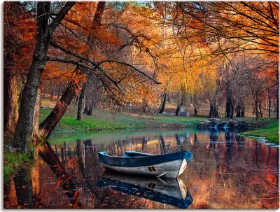 Produktbild von ARTland Leinwandbild Bunte Herbstlandschaft Größe: 80x60 cm