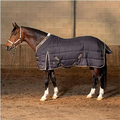 Zdjęcie produktu dla Dywan stajenny Harry's Horse Highliner 200 Wl25 185 cm 185 cm
