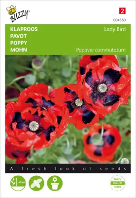 Produktbild von Mohn Ladybird | Mohnsamen von Buzzy Seeds