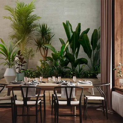 Produktbild von Vlies Fototapete - Home Garden 350x245 cm Blätter b-B-0600-a-a