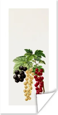 Produktbild von MuchoWow® Poster Beeren - Obst - Lebensmittel 20x40 cm - Plakat - Foto