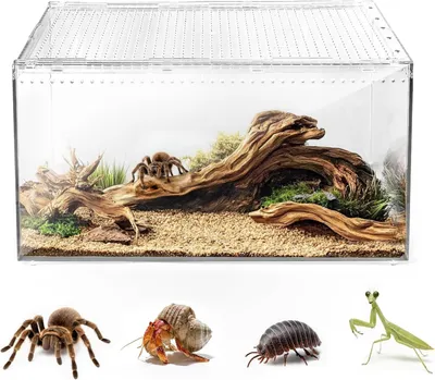 Zdjęcie produktu dla Magnetyczne terrarium dla gadów i owadów