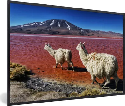 Produktbild von MuchoWow® MuchoWow® Gerahmtes Poster Alpakas - Rot - Berg 90x60 cm - Poster mit zchwarzem Bilderrahmen - Fotorahmen - Foto-Plakat