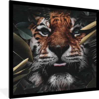 Produktbild von MuchoWow® MuchoWow® Gerahmtes Poster Tiger - Blatt - Tiere 40x40 cm - Poster mit zchwarzem Bilderrahmen - Mit Rahmen - Wanddekoration Schlafzimmer