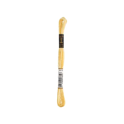 Produktbild von Anchor Stranded Baumwolle Multicolor 1303 8 m Stickgarn