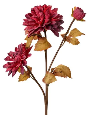 Produktbild von Clayre & Eef Kunstblume 66 cm Rot Kunststoff