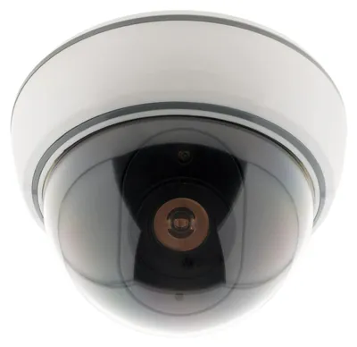 Productafbeelding van Nepcamera voor binnentoepassing
