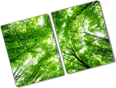 Produktbild von Tulup Glas Herdabdeckplatte - 2x40x52 cm - Glaskeramikkochfeld-Abdeckung Spritzschutz Glasabdeckplatte Kochplattenabdeckung und Schneidebrett - Zweiteilig - Blumen & Pflanzen - Grüner Wald - Grün