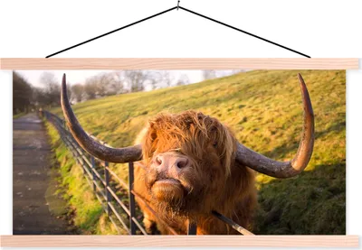 Produktbild von MuchoWow® Textilposter Scottish Hochlandrind - Zaun - Gras 60x30 cm mit holzfarbenen Rahmen - Dekoration