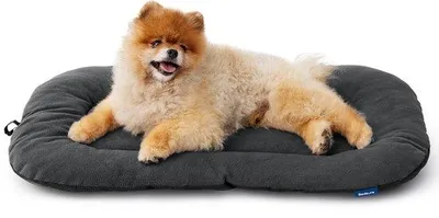 Image de Lit pour chien de taille moyenne pour petits chiens - 59 x 43 cm, coussin lavable pour chiots et chats, lit pour chien très moelleux avec fond antidérapant, gris foncé