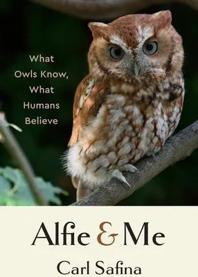 Produktbild von Alfie and Me