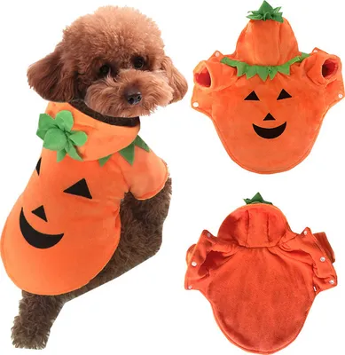Produktbild von Halloween-Thematische Hundebekleidung: Lustige Kürbis-Kostüme für Haustiere, niedliche Kostüme für Hunde zu Halloween