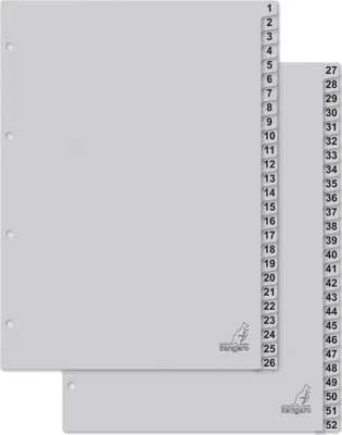 Produktbild von kangaro Karton-Register ECO Zahlen 1-52 DIN A4 52-teilig