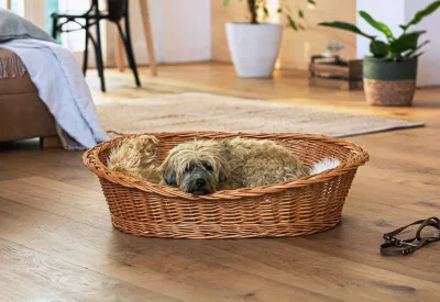 Produktbild von Hundekorb aus Weide, Gr. XL 90x70 cm, Hundebett, Tierbett, Weidenkorb