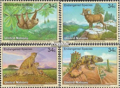 Produktbild von Briefmarken UNO - New York 2002 Mi 890-893 (kompl.Ausg.) postfrisch Fauna
