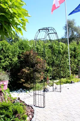Immagine prodotto di GardenAndPools Arco di rose Parigi rotondo L-1,20 m Pergola nera Arco di rose in metallo Arco di rose da giardino Colonna di rose Arco da giardino