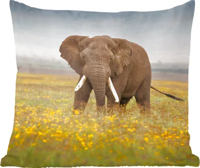 Produktbild von MuchoWow® Zierkissen Sofakissen Wohnzimmer Dekokissen 50x50 cm Elefant - Blumen - Gras - Tiere - Natur - Komfort - Sofakissen