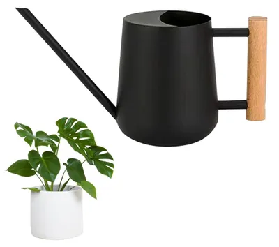 Gieter 1000 ml, Edelstahl, schwarz, mit langem Ausgießer und Holzgriff