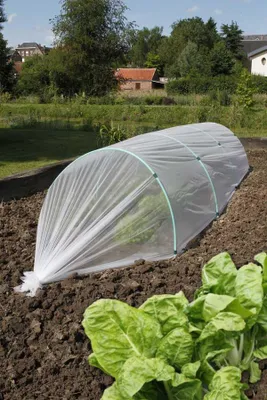 Image de Film de forçage anti-insectes "Biocontrol" - 1,40 x 10 m