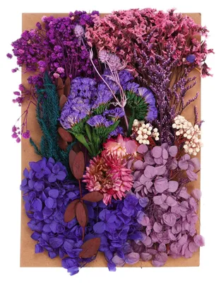 Trockenblumen-Set, 21x14,5 cm, gepresst, mehrfarbig, für DIY-Basteln