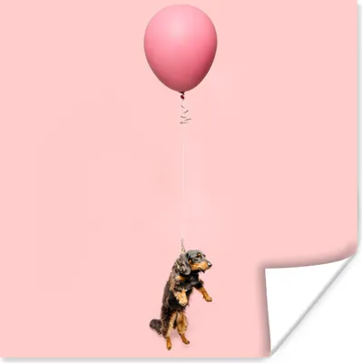 Produktbild von MuchoWow® Poster Dackel schwebt durch einen Ballon nach oben 50x50 cm - Wohnzimmerdekoration