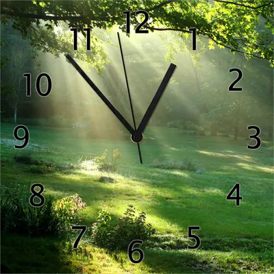 Produktbild von Wallario Design Wanduhr Sonnenstrahlen im Wald aus Echtglas, Größe 30 x 30 cm