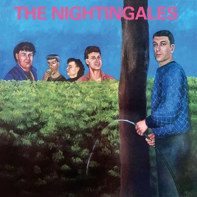 Obrázek produktu pro The Nightingales: In The Good Old Country Way -   - (CD / I)