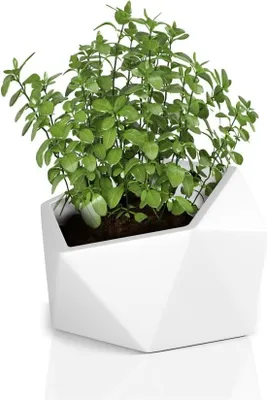 Produktbild von Blumentopf Vesari weiß