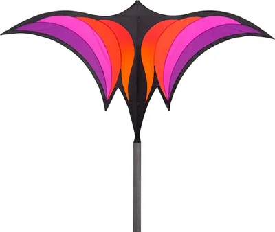 Produktbild von HQ Kinderdrachen Brasington´s Ravenswing