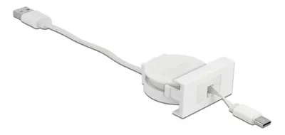 Image de Delock Easy 45 Module USB 2.0 Câble rétractable USB type A vers USB type