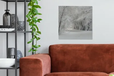 Produktbild von MuchoWow® - Leinwandbilder - Bäume - Schnee - Winter, Wandbild, Wanddeko Bilder Wohnzimmer, 50x50 cm