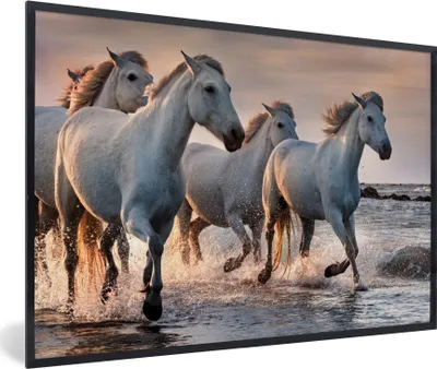 Produktbild von MuchoWow® MuchoWow® Gerahmtes Poster Pferde - Wasser - Meer - Frankreich 90x60 cm - Poster mit zchwarzem Bilderrahmen - Fotorahmen - Foto-Plakat
