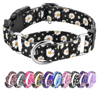 Immagine prodotto di Collare martingale per cani, con chiusura a fibbia, adatto a cani di piccola, media e grande taglia