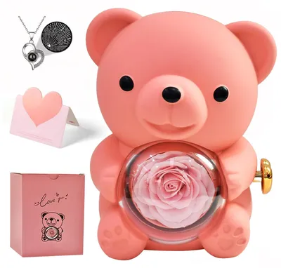 Ewige Rose Bär Geschenkbox mit Herz-Halskette, konservierte Rose
