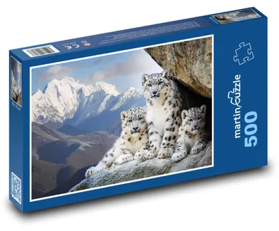 Obrázok produktu pre martinpuzzle - Puzzle 500 - Rodina leopardov v horách
