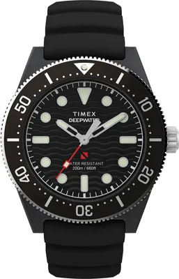 Zdjęcie produktu dla Zegarek Timex TW2Y02200 czarny