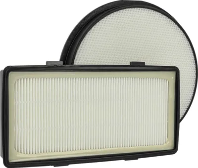 Produktbild von vhbw 2-tlg. Filter-Set kompatibel mit Rowenta RO7676EA/410, RO7663EA/410, RO7647EA/410, RO7643EA/411 Staubsauger - 1x Vorfilter, 1x Abluftfilter