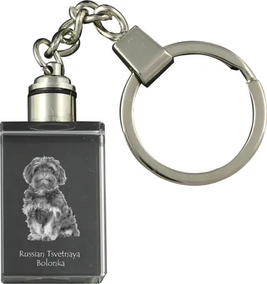 Obrázek produktu pro Bolonka - Křišťálová klíčenka s fotografií psa, svítící klíčenka, jedinečný dárek od značky Art-Dog